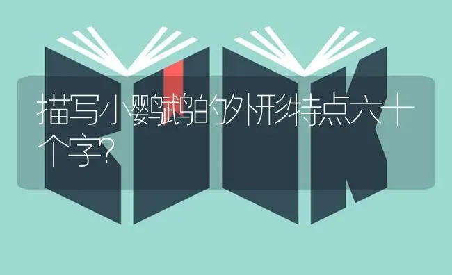 一岁的吉娃娃怎么训练？ | 动物养殖问答