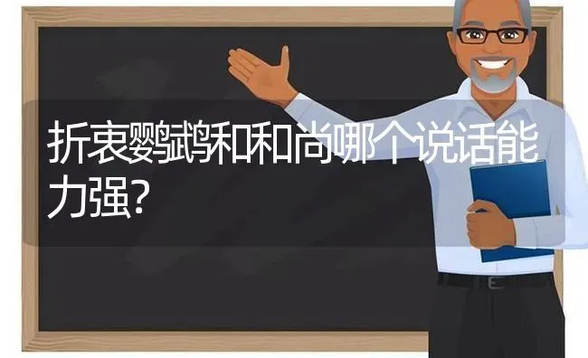 折衷鹦鹉和和尚哪个说话能力强？ | 动物养殖问答