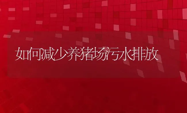 如何减少养猪场污水排放 | 动物养殖百科