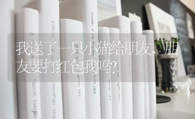 我送了一只小猫给朋友，朋友要打红包我吗？ | 动物养殖问答