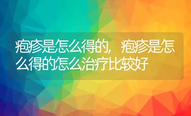 疱疹是怎么得的,疱疹是怎么得的怎么治疗比较好 | 宠物百科知识