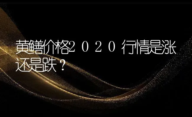 黄鳝价格2020行情是涨还是跌？ | 动物养殖百科