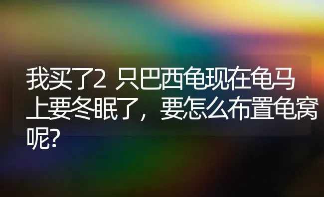 我买了2只巴西龟现在龟马上要冬眠了，要怎么布置龟窝呢？ | 动物养殖问答