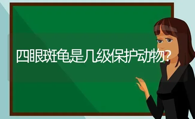 四眼斑龟是几级保护动物？ | 动物养殖问答