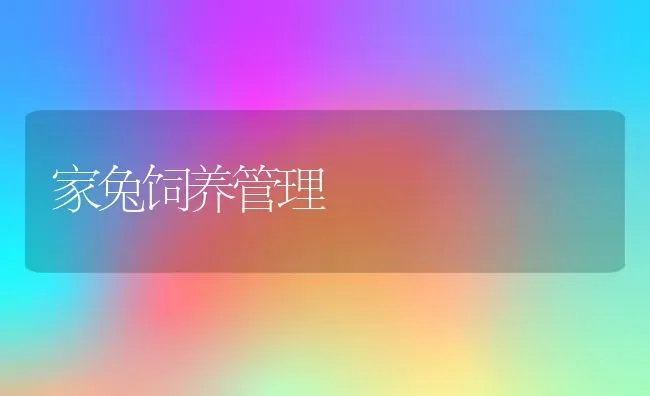 家兔饲养管理 | 动物养殖教程