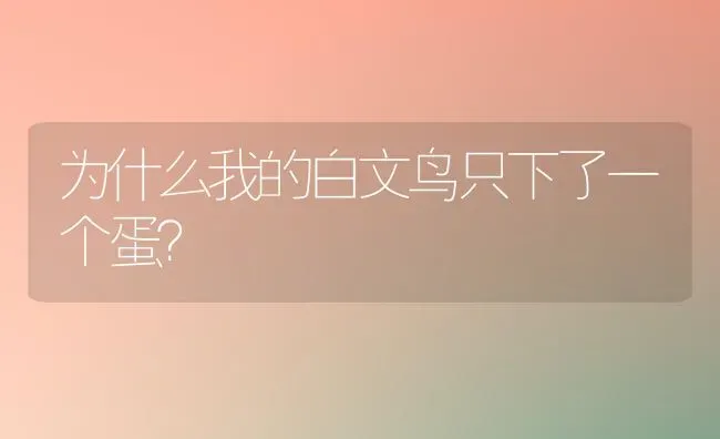 为什么我的白文鸟只下了一个蛋？ | 动物养殖问答