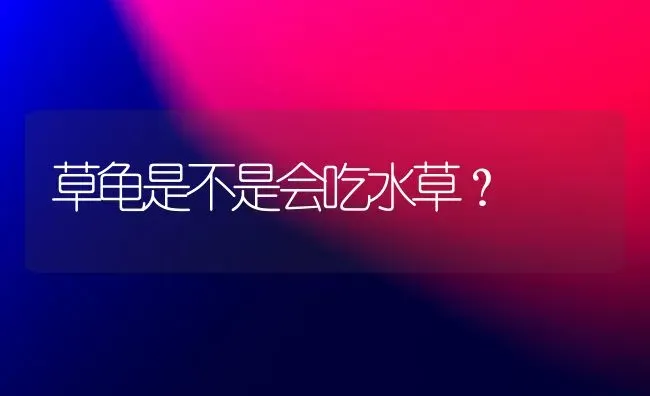 草龟是不是会吃水草？ | 动物养殖问答