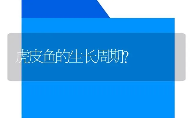 虎皮鱼的生长周期？ | 鱼类宠物饲养