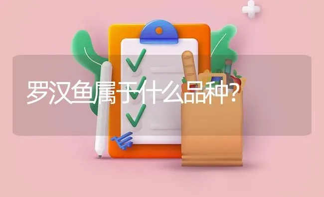 罗汉鱼属于什么品种？ | 鱼类宠物饲养