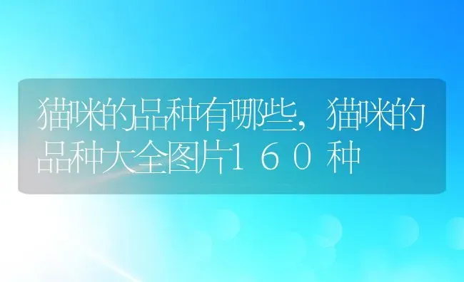 大便有粘液带血,大便有粘液带血是怎么回事 | 宠物百科知识