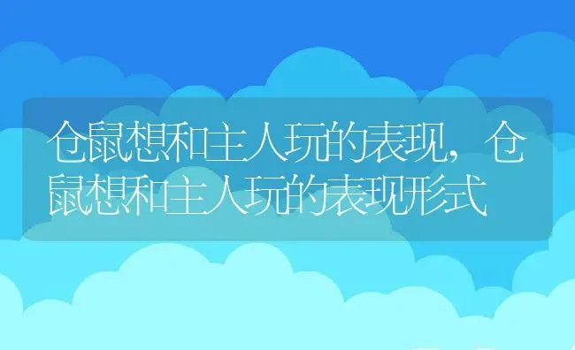 仓鼠想和主人玩的表现,仓鼠想和主人玩的表现形式 | 宠物百科知识