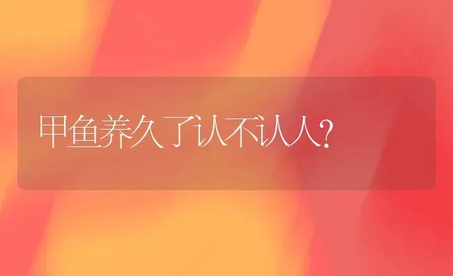 两个月大的萨摩耶晚上睡觉会叫嘛？ | 动物养殖问答