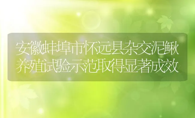 安徽蚌埠市怀远县杂交泥鳅养殖试验示范取得显著成效 | 动物养殖饲料