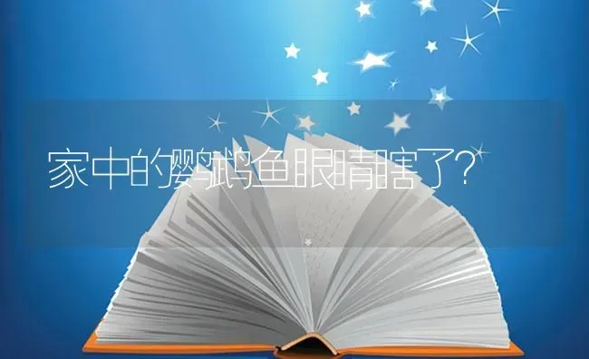 家中的鹦鹉鱼眼睛瞎了？ | 鱼类宠物饲养