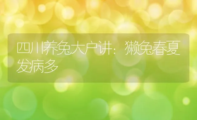 四川养兔大户讲：獭兔春夏发病多 | 水产养殖知识