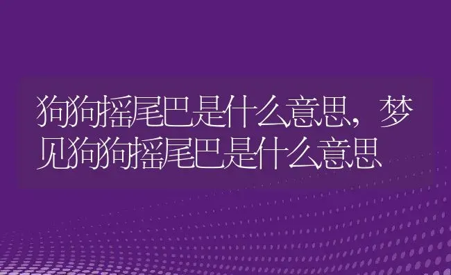 腰臀比正常范围,腰臀比正常范围是多少 | 宠物百科知识