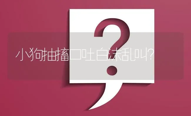 长期室内养金毛不见光会怎样？ | 动物养殖问答