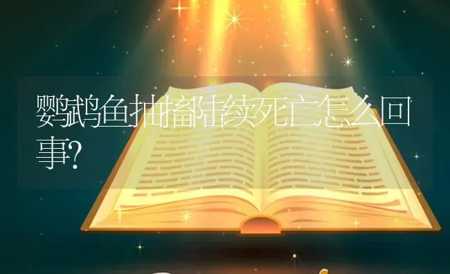 鹦鹉鱼抽搐陆续死亡怎么回事？ | 鱼类宠物饲养