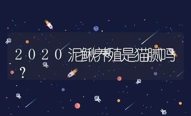 2020泥鳅养殖是猫腻吗？ | 动物养殖百科