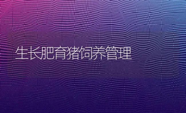 獭兔常用嘴啃脚趾，出血还啃该咋办？ | 动物养殖学堂