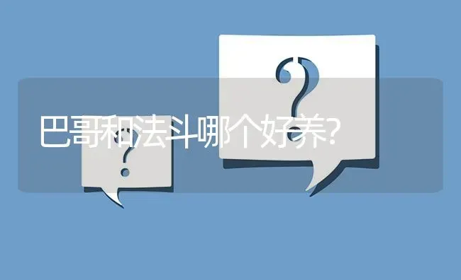 巴哥和法斗哪个好养？ | 动物养殖问答