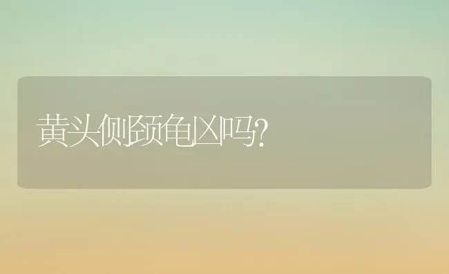 黄头侧颈龟凶吗？ | 动物养殖问答