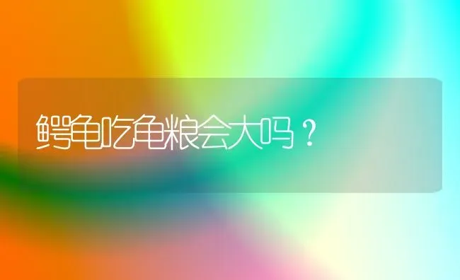 鳄龟吃龟粮会大吗？ | 动物养殖问答