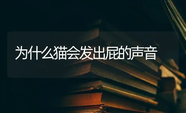 为什么猫会发出屁的声音 | 动物养殖问答