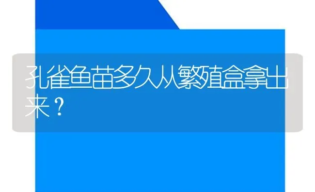 孔雀鱼苗多久从繁殖盒拿出来？ | 鱼类宠物饲养