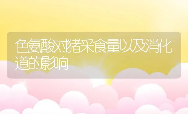 淡水鳖、龟锥体虫病的防治技术 | 动物养殖学堂