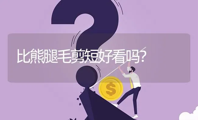 比熊腿毛剪短好看吗？ | 动物养殖问答