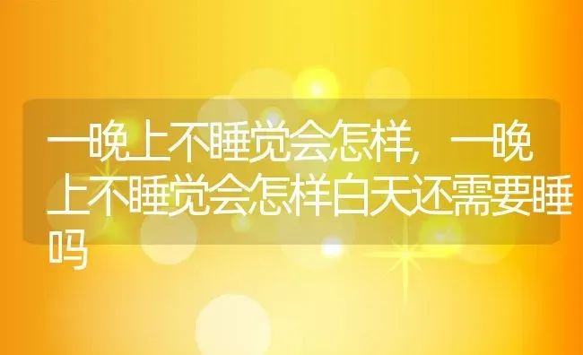 一晚上不睡觉会怎样,一晚上不睡觉会怎样白天还需要睡吗 | 宠物百科知识