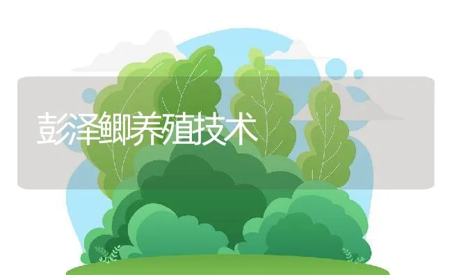 彭泽鲫养殖技术 | 动物养殖饲料