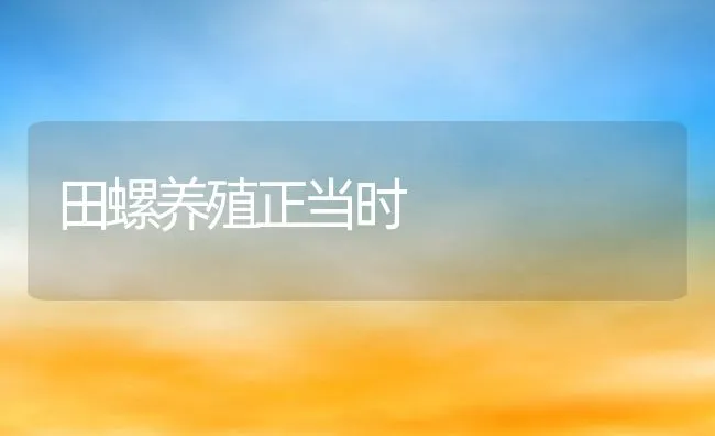 田螺养殖正当时 | 动物养殖饲料