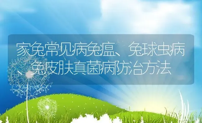 家兔常见病兔瘟、兔球虫病、兔皮肤真菌病防治方法 | 动物养殖教程