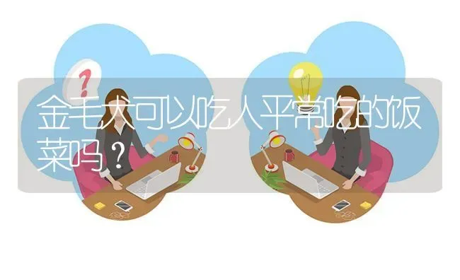 金毛犬可以吃人平常吃的饭菜吗？ | 动物养殖问答