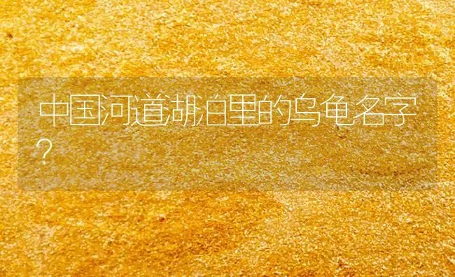 中国河道湖泊里的乌龟名字？ | 动物养殖问答