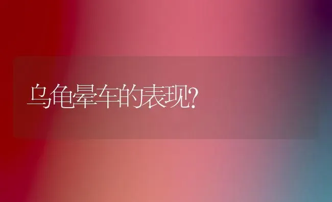 乌龟晕车的表现？ | 动物养殖问答