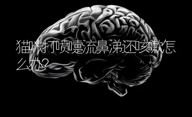 德国牧羊犬一般能活多少年德国牧羊犬的寿命是多久？ | 动物养殖问答