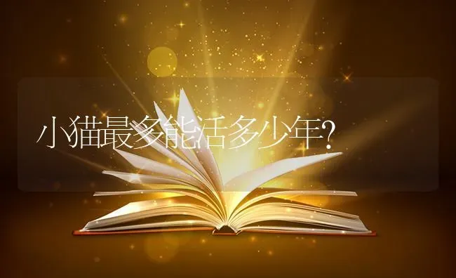 小猫最多能活多少年？ | 动物养殖问答