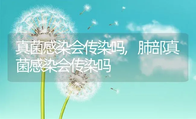 真菌感染会传染吗,肺部真菌感染会传染吗 | 宠物百科知识