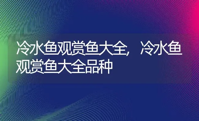 冷水鱼观赏鱼大全,冷水鱼观赏鱼大全品种 | 宠物百科知识