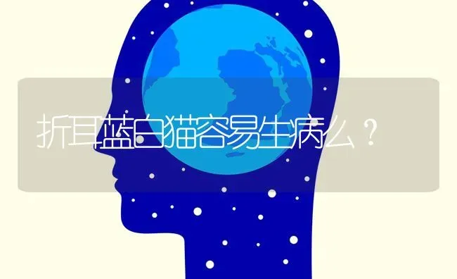 折耳蓝白猫容易生病么？ | 动物养殖问答