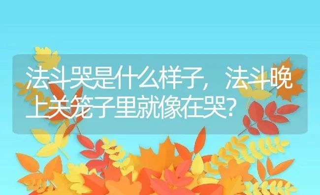 法斗哭是什么样子,法斗晚上关笼子里就像在哭？ | 宠物百科知识