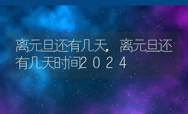 离元旦还有几天,离元旦还有几天时间2024 | 宠物百科知识