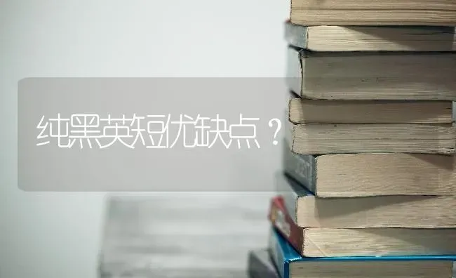 纯黑英短优缺点？ | 动物养殖问答