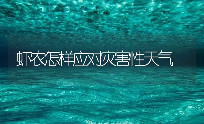 虾农怎样应对灾害性天气 | 海水养殖技术