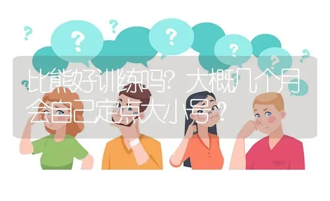 比熊好训练吗?大概几个月会自己定点大小号？ | 动物养殖问答