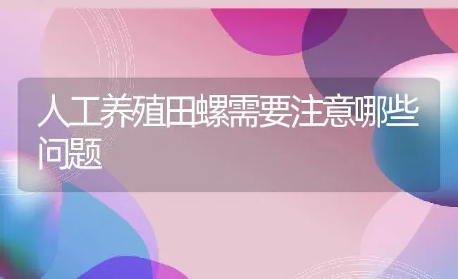 人工养殖田螺需要注意哪些问题 | 动物养殖百科