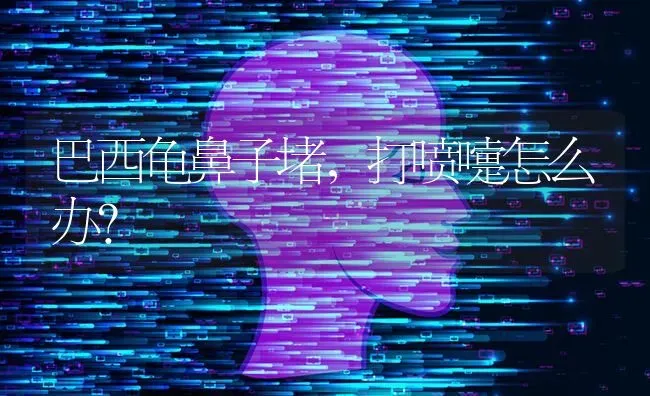 巴西龟鼻子堵，打喷嚏怎么办？ | 动物养殖问答